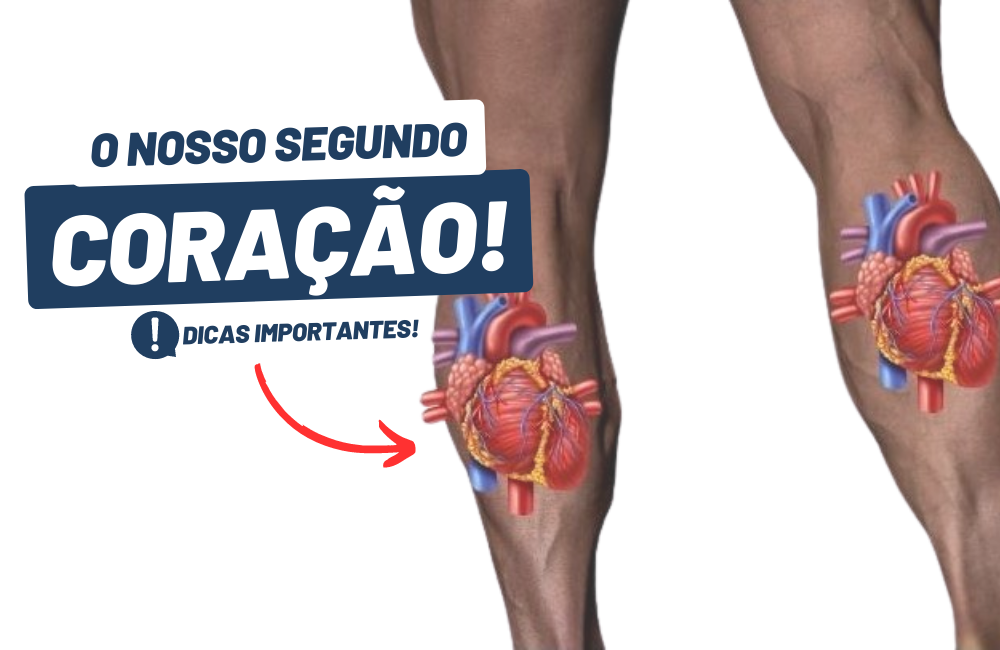 VOCÊ SABIA QUE POSSUI UM SEGUNDO CORAÇÃO? CONHEÇA A BOMBA DA ...